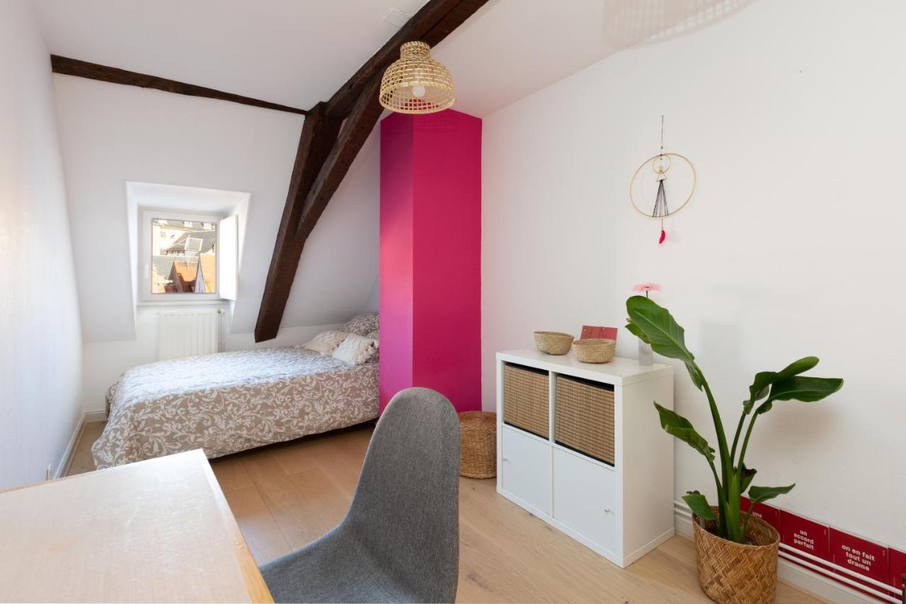 Petite France-Cathedrale, Duplex 100M2- 3 Chambres Strasbourg Exterior photo